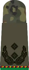 Oberstleutnant d.R. (Mech. infantry reserve)