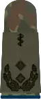Oberfeldarzt (hum. medicine)
