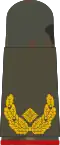 Brigadegeneral (field suit)