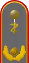 Generalarzt (dental medicine)