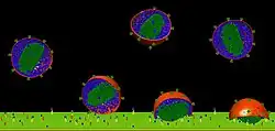 HIV Infection at Atomic Resolution [1]