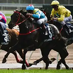 HKIR_20231210_Victor_The_Winner