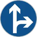 B46-1 Go straight or turn right