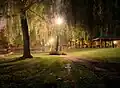 Walking path through willows in Hagerstown City Park.