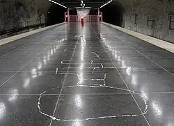 Platform