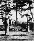 Kasatōba in the 1890s