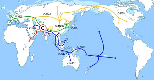 Migration of Haplogroup C.