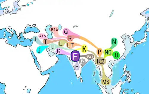 The geographical development and distribution of Haplogroup F.