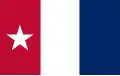 This banner was carried by volunteers comprising Capt. Andrew Robinson's company from Harrisburg and designed by Sarah Rudolph Bradley Dodson in September 1835 for her husband, 1st Lt. A. B. Dodson and colleagues[24]