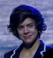Image 18Musician Harry Styles sporting a wings haircut in 2012. (from 2010s in fashion)