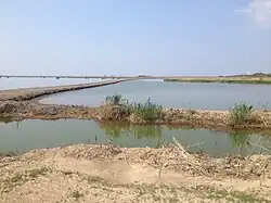 Island