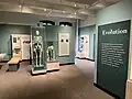 Exhibition on evolution in 2023