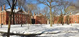 The Yard in winter