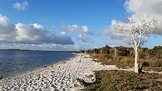 Shore of Harvey Estuary from Herron Point at Birchmont