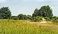 Haverhill Railway Walks