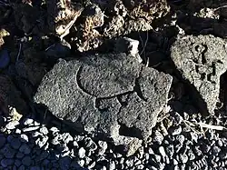 Image 16Ancient Hawaiian petroglyphic depiction of an ʻīlio (Hawaiian Poi Dog) (from Domestication of the dog)