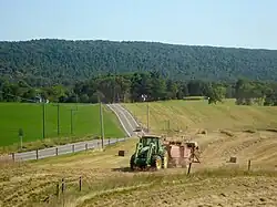 Making hay in Buck Valley