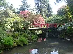 Heart Bridge