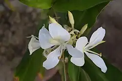 ""
