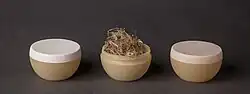 Hemp fiber composite - cosmetic packaging