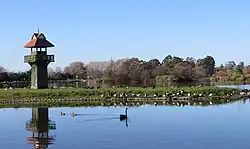 Henley Lake beside the Ruamahunga River