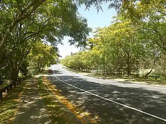 Hickey Way, 2015
