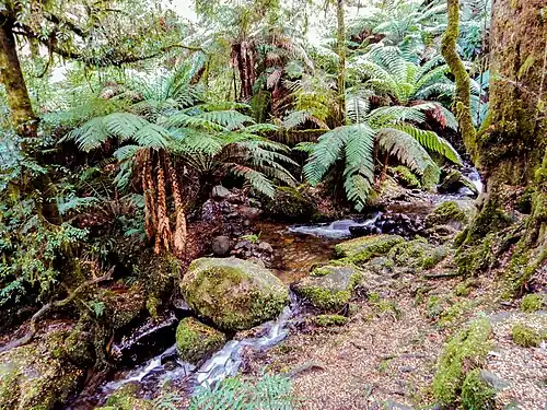 In typical habitat