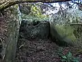 High Gillespie chambered cairn