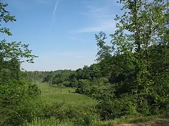 Marsh