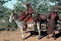 Male Himba herders