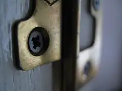 A flushed door hinge