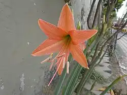 ""