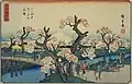 Meisho Flowers (Koganei)