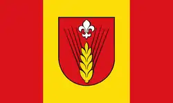 Glasin