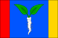 Flag of Hlízov