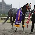 Nagoya Daishoten awards ceremony