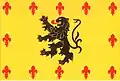 Flag of Holín