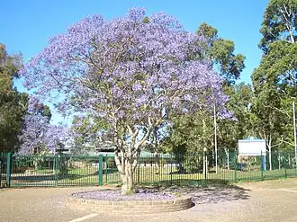 Holsworthy High School