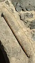 Homberg Ell