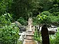 A homemade bridge, near Volcan Baru National Park in Boquete, leading to a private residence
