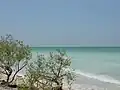 Another view of the Gulf
