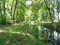 Landscape near Hoonhorst