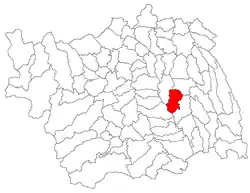 Location in Bacău County