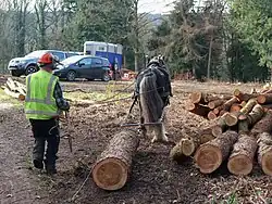 Ground dragging