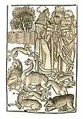 Titlepage of the chapter ... »De animalibus«