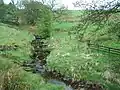 Howgill Beck on the western boundary with Rimington.