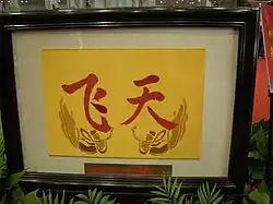 The "Fei Tian" text and goddess image on the arm badge of Feitian space suit.