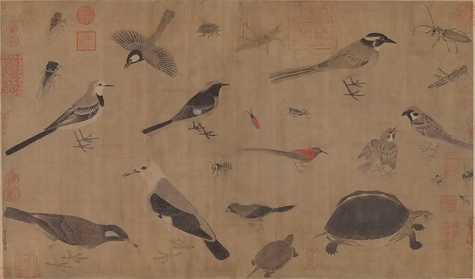Image 21Description of rare animals (写生珍禽图), by Huang Quan (903–965) during the Song dynasty (from History of biology)