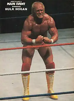 Hulk Hogan