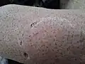 30 minutes of evolution